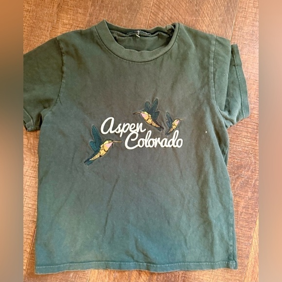 Brandy Melville Sweaters - Aspen green Brandy Melville crew neck cropped t shirt